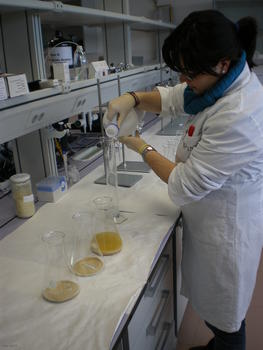 Noelia Manchón trabaja en el laboratorio del Centro de los Alimentos de Soria.