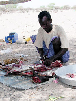 Inmigrante preparando comida. (Foto: MEC)