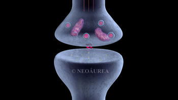 Imagen que ilustra la sinapsis creada por NeoAurea.