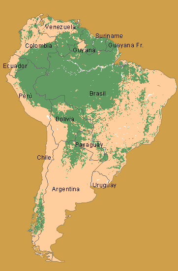 Resultado de imagen para amazonia mapa