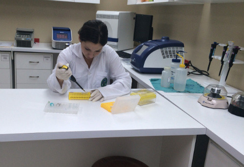 La microbióloga María José Suárez Sánchez, investigadora del CIHATA, realiza la prueba para identificar la enfermedad celiaca.