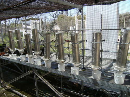 Columnas de suelo en los laboratorios del IRNASA. Foto: IRNASA.