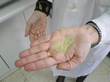 La doctora Armentia muestra granos de polen de pino. 