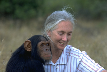 Jane Goodall, primatóloga y conservacionista.