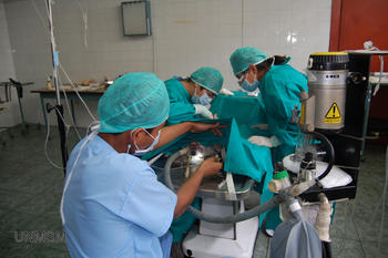 Alumnos de Medicina Veterinaria realizando prácticas en la Clínica de animales menores. 