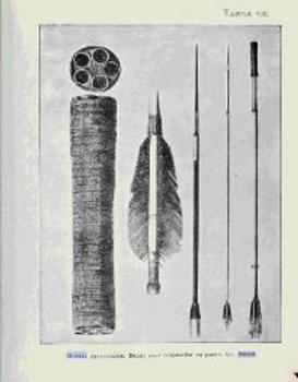 Imagem de flechas indígenas envenenadas - Tábua VIII do artigo 