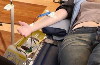 Donante de sangre (FOTO: Conicet).