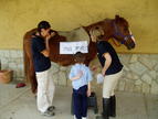 Unos niños con uno de los caballos que se utilizan en las terapias de la Fundación Carriegos (Foto: La Fundación)
