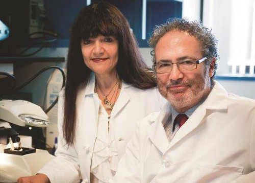 Los líderes argentinos del estudio, los doctores María Castro y Pedro Lowenstein. En la actualidad ambos trabajan en la Universidad de Michigan. FOTO: AGENCIA CYTA