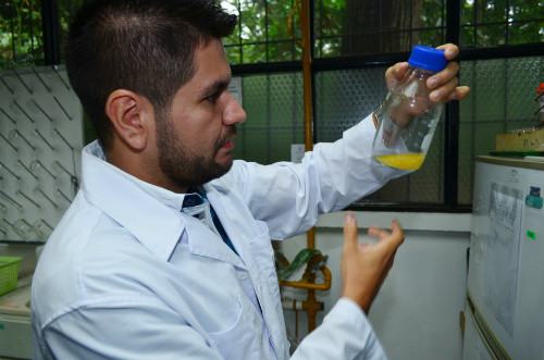 Carlos Esteban Rodríguez Rodríguez, investigador del Centro de Investigación en Contaminación Ambiental (CICA).
