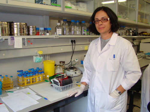 Irene Cózar, responsable del Laboratorio de diabetes y célula beta pancreática del IBGM.