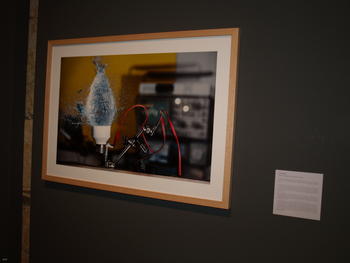 La foto ganadora, en la exposición.