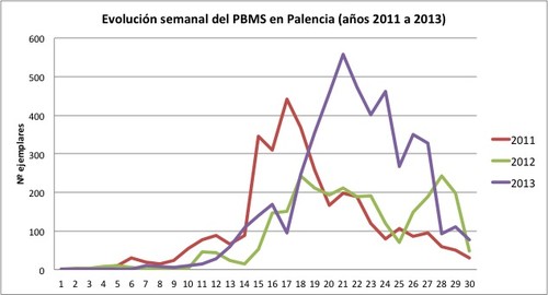 Evolución de la población de mariposas en Pzalencia entre 2011 y 2013. Fuente: Asociación de Naturalistas Palentinos.