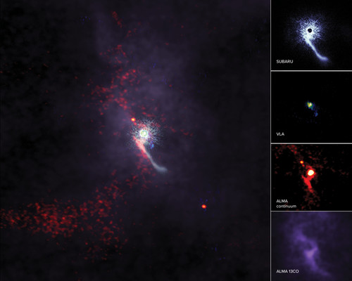 A medida que crecen, las estrellas suelen interactuar con sus estrellas hermanas (estrellas que crecen en zonas cercanas), pero rara vez se las ha visto interactuar con objetos externos/ALMA (ESO/NAOJ/NRAO), S. Dagnello (NRAO/AUI/NSF), NAOJ