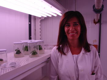 Purificación Corchete, profesora del Departamento de Fisiología Vegetal de la Universidad de Salamanca