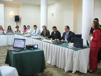 Diana Candanedo (de pie a la derecha), dirige la primera reunión de las comisiones sectoriales que realizan parte de la revisión de la implementación del Plan Estratégico de Ciencia, Tecnología e Innovación. (Foto: SENACYT)