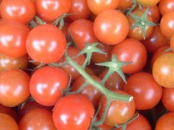 Tomates (FOTO: SEA)