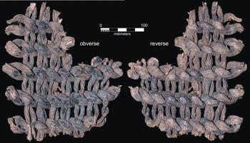Fragmento de tejido, mostrado al derecho y al revés, que podría haber sido parte de una cesta o una alfombra rústica, hallado en la Cueva del Guitarrero, Perú. (Foto: Edward A. Jolie y Phil R. Geib)