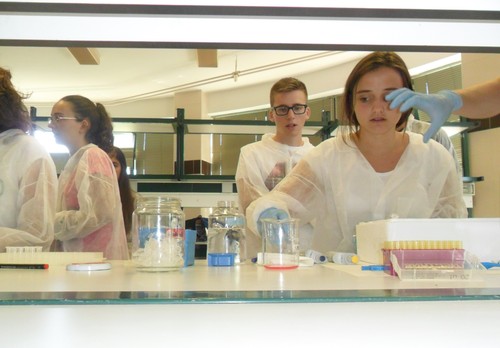Alumnos, en el laboratorio de Biología Celular.