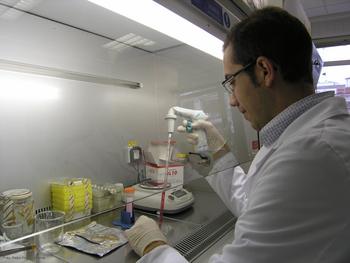 Pedro Prieto-Hontoria, en el laboratorio.