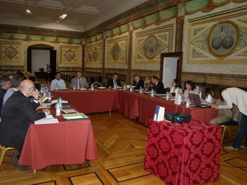 Reunión de expertos de la Cátedra Extraordinaria del Dolor 'Fundación Grünenthal' de la Universidad de Salamanca.