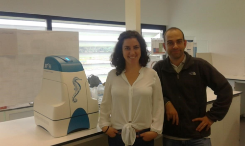 Teresa Serafim junto a uno de los investigadores del laboratorio MitoXT (Mitochondrial Toxicology and Experimental Therapeutics Laboratory) del Centro para la Neurociencia y la Biología Celular de la Universidad de Coimbra (Portugal).