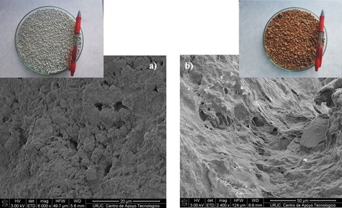 Imágenes de los materiales empleados e imágenes de detalle obtenidas con microscopio electrónico: a) clinoptilolita; b) palygorskita. 