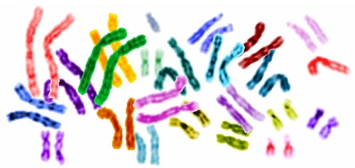 Crean una herramienta para buscar variantes genéticas causantes de enfermedades/Wikimedia Commons