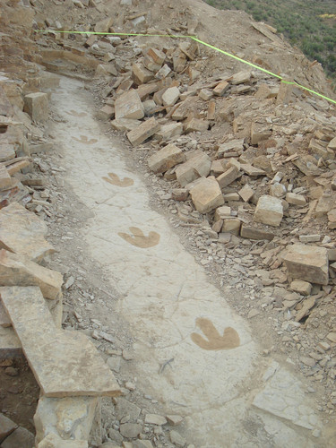 Ricardo Servín realizó el primer registro de icnitas que dejaron dinosaurios en su paso por Sonora, hace más de 70 millones de años. FOTO: UNAM.