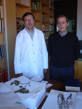 Enrique Rico (izquierda) y Francisco Amich, junto a varias muestras de plantas