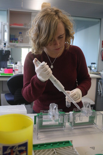Una investigadora trabaja en el laboratorio.