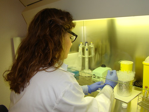 Una de las investigadoras del equipo de la UVa y el Hospital Clínico Universitario trabaja en el Laboratorio.