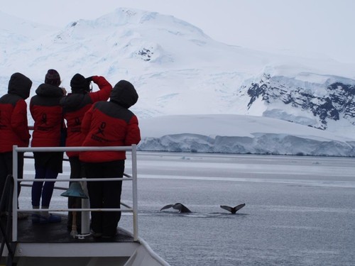 Participantes del proyecto Homeward Bound en la Antártida. 