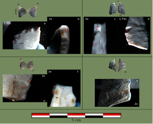 Microlitos de sílex con fracturas producidas por impactos del yacimiento de Mohelno-Plevovce/Joseba Rios