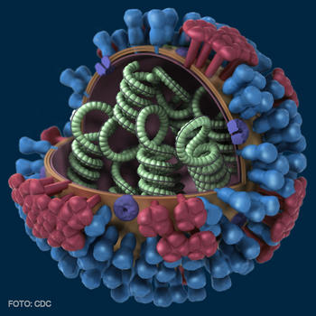 Representación en 3D del virus de la gripe A (H1N1).