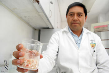 La zona conurbada de Puebla produce cinco toneladas de residuos de marsicos, cuya disposición final se desconoce, afirma el investigador.