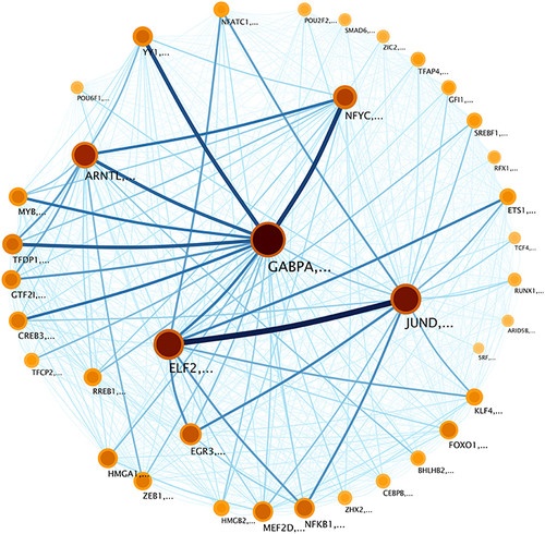 Estructura de comunidades de la red de transcripción. Imagen: CONACYT.