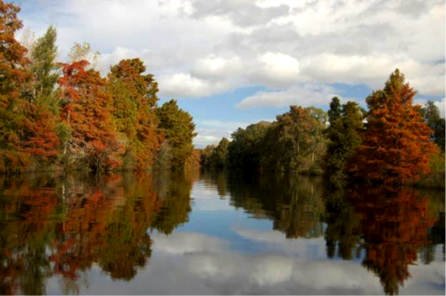 Vista de uno de los canales del delta actual en otoño. FOTO: UNL