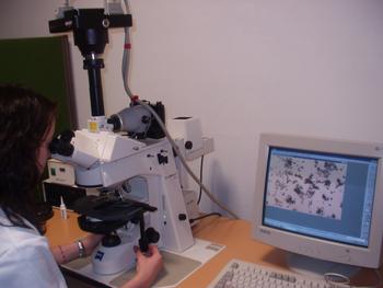 Una de las empleadas de Bioges analizando muestras al microscopio