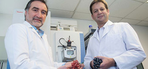 En la imagen, los investigadores Ricardo Pérez y Pedro Bouchon, del Departamento de Ingeniería Química y Bioprocesos. FOTO: UC