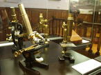 Microscopios que se pueden ver en la exposición