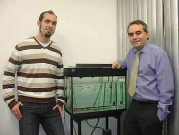 Miguel Moyano, a la izquierda, y Ángel Porteros, investigadores del Incyl, junto a peces cebra.