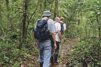 Un equipo de la PUCP controla el buen estado de los bosques tropicales (Fotografía: PUCP)