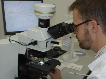 Enrique de Álava analizando muestras al microscopio