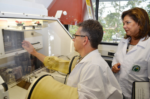 El técnico especializado Pablo Vargas Dengo y la investigadora Evelyn Rodríguez del LIBA revisan los cultivos de Clostridium difficile en la cámara de anaerobiosis (FOTO: UCR).