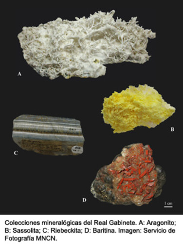 Colección mineralógica del Real Gabinete. FOTO: MNCN.