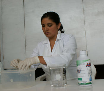 Una investigadora trabaja en la laboratorio del Idiaf.