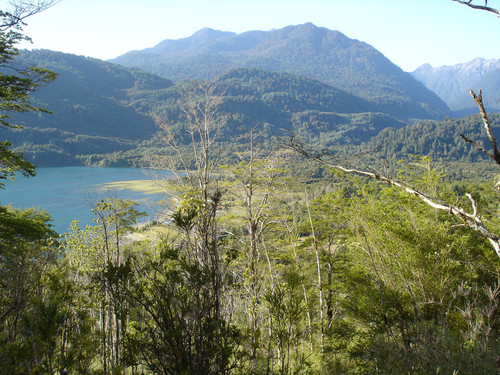 Reserva Huinay (Chile). FOTO: CSIC.
