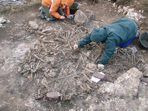 El equipo de la UVa ha realizado excavaciones en el yacimiento del Alto del Reinoso en 2006 y 2007. Imagen cortesía de Manuel Rojo Guerra