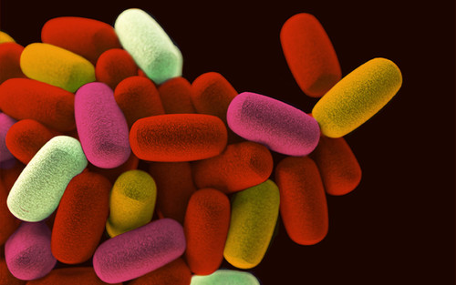 Digital colorization of 3D computer-generated image of a cluster of bacteria. Original render by Jeremy Bishop on Unsplash